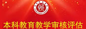 审核评估